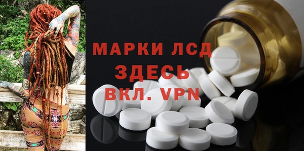 стаф Абаза