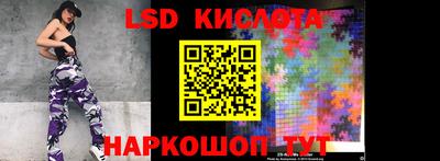 прущие грибы Абакан