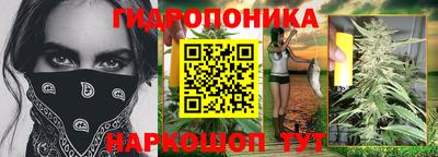 прущие грибы Абакан