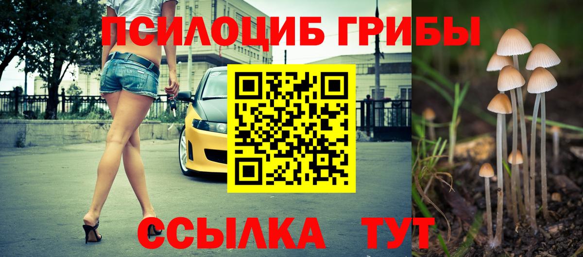 Абинск  как найти   Вход с VPN  Галлюциногенные грибы MAGIC MUSHROOMS  Галлюциногенные грибы прущие грибы 